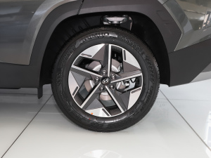 2024;L 1.5T F (ji)^