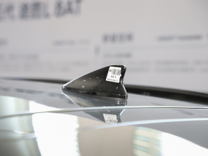 2024;L 1.5T F (ji)^