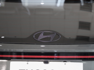 2024;L 1.5T F (x)(ji)^