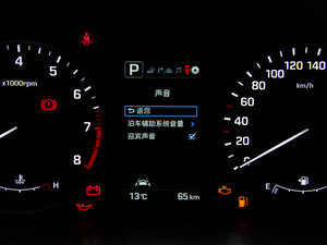 20151.6TGDi DLXF п؅^