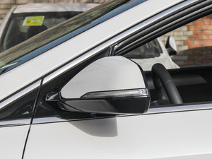 20151.6TGDi DLXF (ji)^