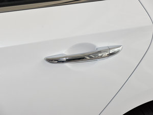 20151.6TGDi GLS (ji)^