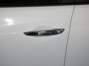 2017款1.6T 自动智能型GLS 国V 主驾门拉手