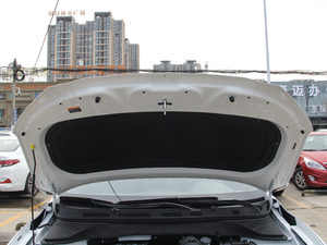 2018款1.6T 致尊版 其它