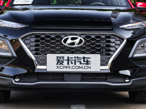 2018款1.6T 致尊版 中网