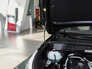 20181.6T pxσ(q)15؄e 