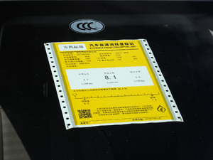 2019350THP Ԅ V ŲͺĘʾ