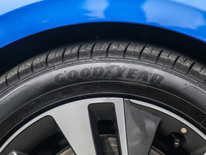 2019350THP Ԅ V ݆̥Ʒ