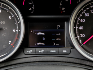 2019350THP Ԅ V п؅^