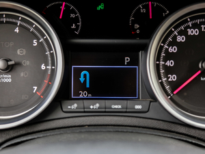 2019350THP Ԅ V п؅^