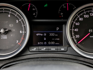 2019350THP Ԅ V п؅^