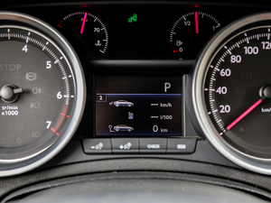 2019350THP Ԅ V п؅^