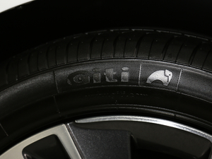 2019360THP ԄӺA VI ݆̥Ʒ