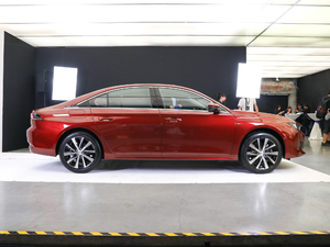 2019400THP PureTech  (gu)VI w^