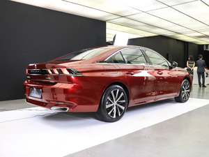 2019400THP PureTech  (gu)VI w^