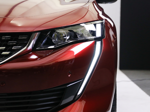 2019400THP PureTech  VI ^