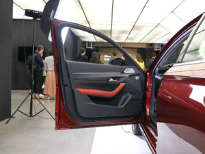 2019400THP PureTech  VI g