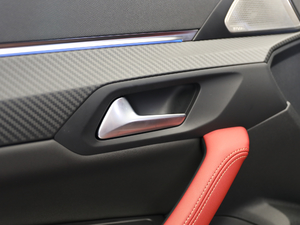 2019400THP PureTech  VI g