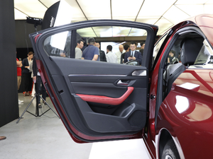 2019400THP PureTech  VI g