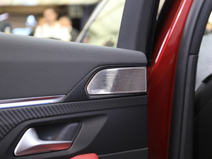 2019400THP PureTech  VI g