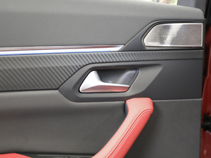 2019400THP PureTech  VI g