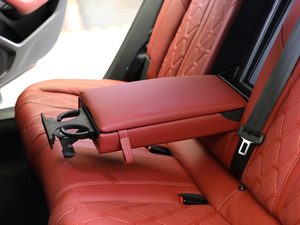 2019400THP PureTech  VI g