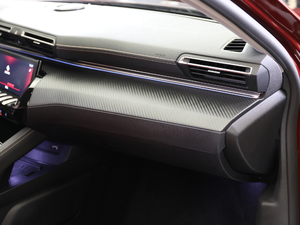 2019400THP PureTech  VI g