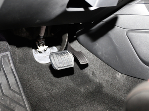 2019400THP PureTech  VI g