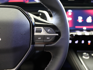 2019400THP PureTech  VI п؅^