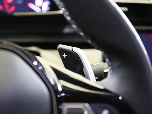 2019400THP PureTech  VI п؅^