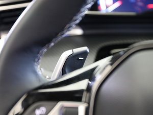 2019400THP PureTech  VI п؅^