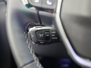 2019400THP PureTech  VI п؅^