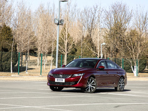 2019400THP PureTech  (gu)VI w^