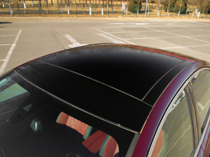 2019400THP PureTech  VI ܇