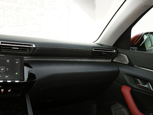 2019400THP PureTech  VI g