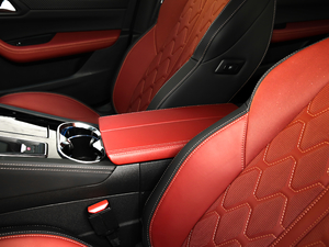 2019400THP PureTech  (gu)VI 