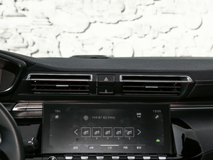 2019400THP PureTech  VI {L