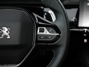 2019400THP PureTech  VI п؅^