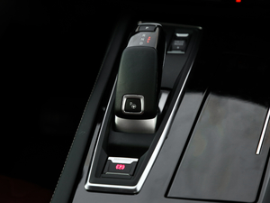 2019400THP PureTech  VI п؅^