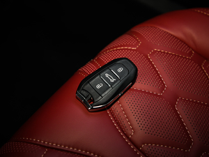 2019400THP PureTech  VI ܇耳