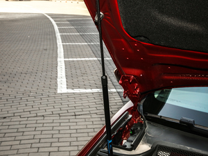 2019400THP PureTech  VI 