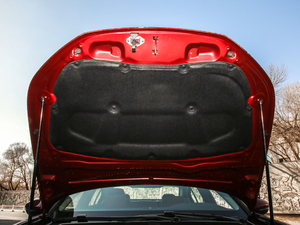 2019400THP PureTech  VI 