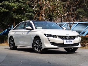 2019350THP PureTech {Ȥ V w^