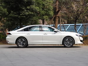 2019350THP PureTech {Ȥ V w^