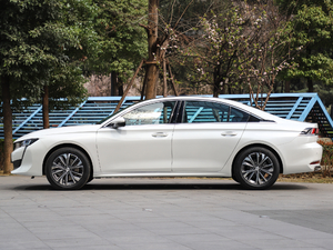 2019350THP PureTech {Ȥ V ȣ