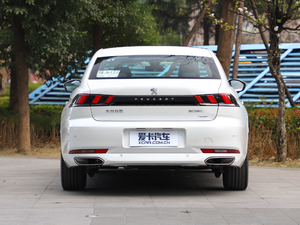 2019350THP PureTech {Ȥ V 	