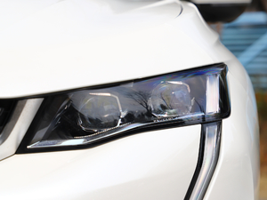 2019350THP PureTech {Ȥ V 