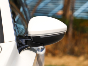 2019350THP PureTech {Ȥ V ҕR