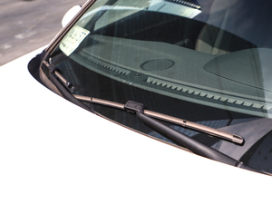 2019350THP PureTech {Ȥ V ˢ