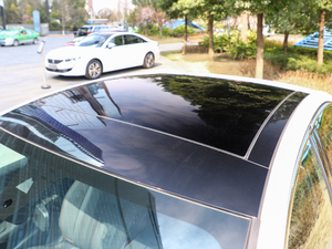 2019350THP PureTech {Ȥ V ܇